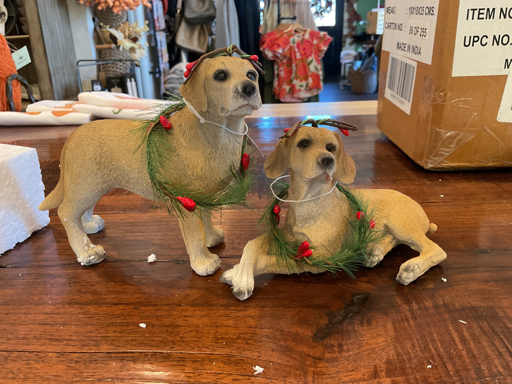 Brown Dog w/ Antlers