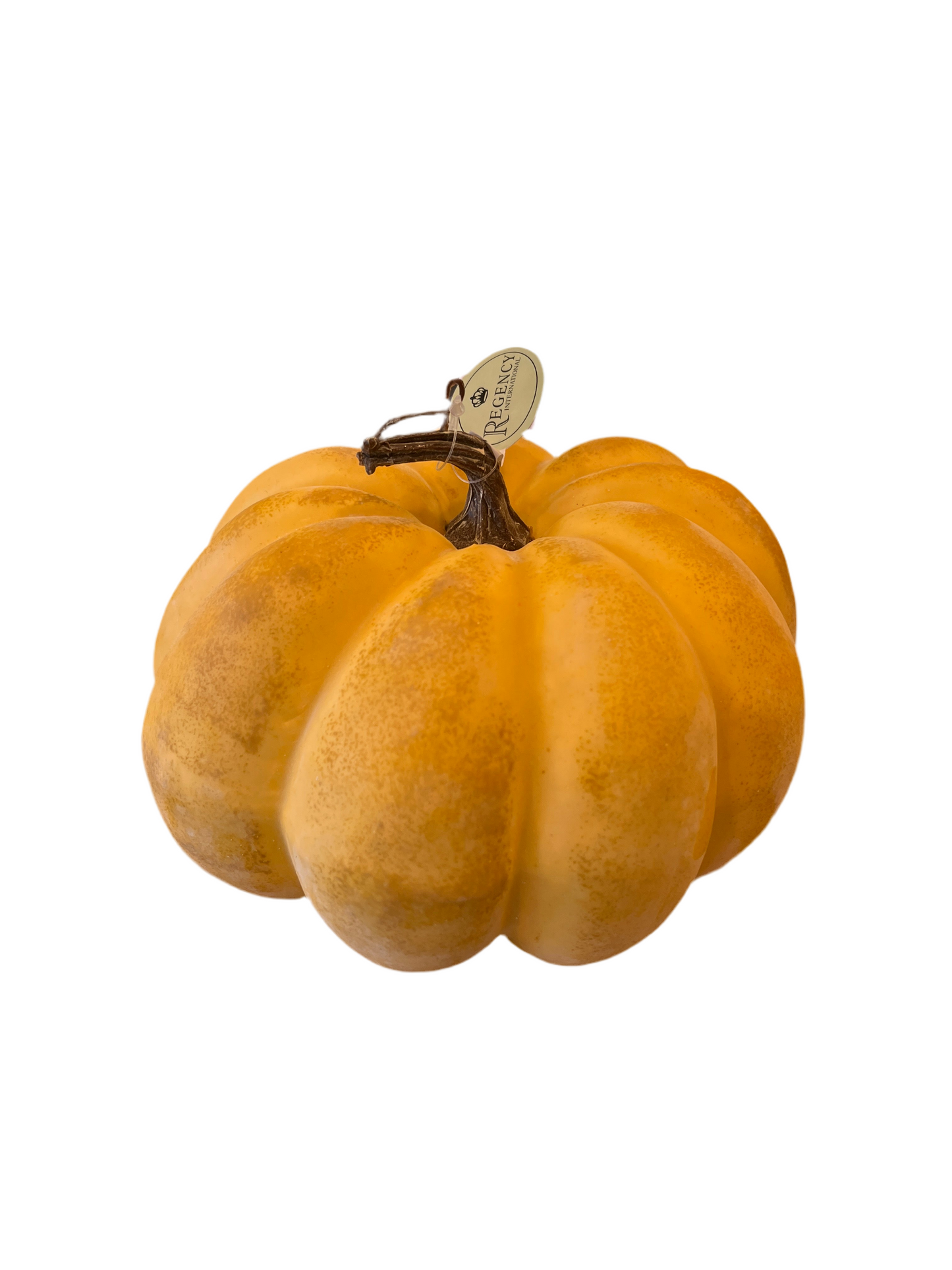 8” autumn squat pumpkin