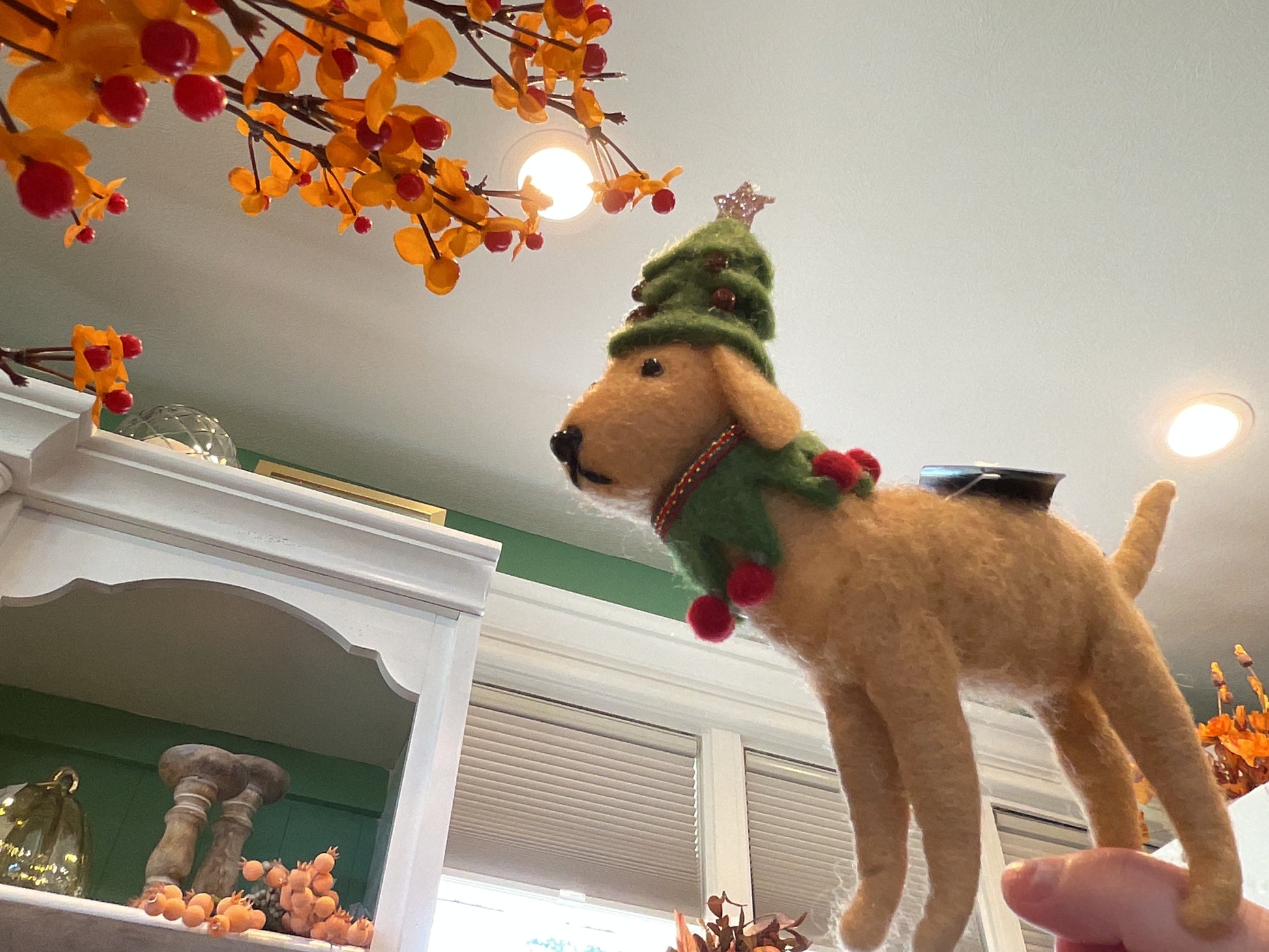 Dog w/ Tree Hat