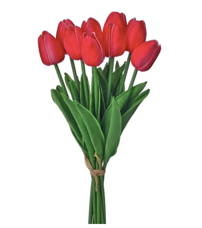 13" Eva Dutch Tulip Bundle