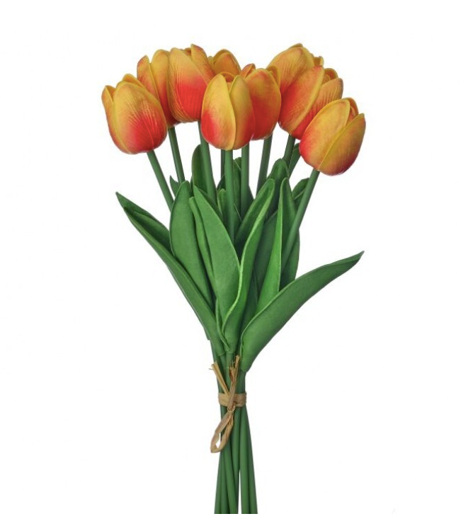 13" Eva Dutch Tulip Bundle