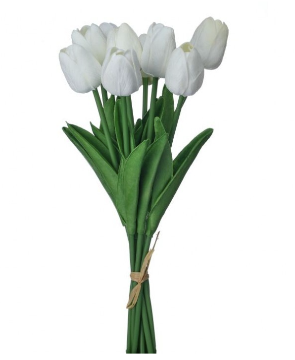 13" Eva Dutch Tulip Bundle