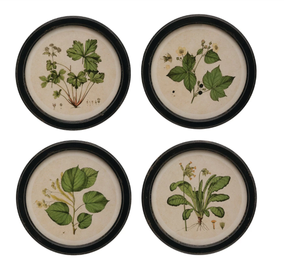 Framed Wall Decor with Botanical Print