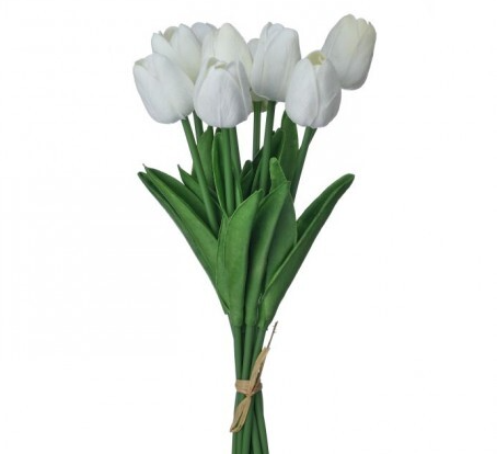 13" Eva Dutch Tulip Bundle