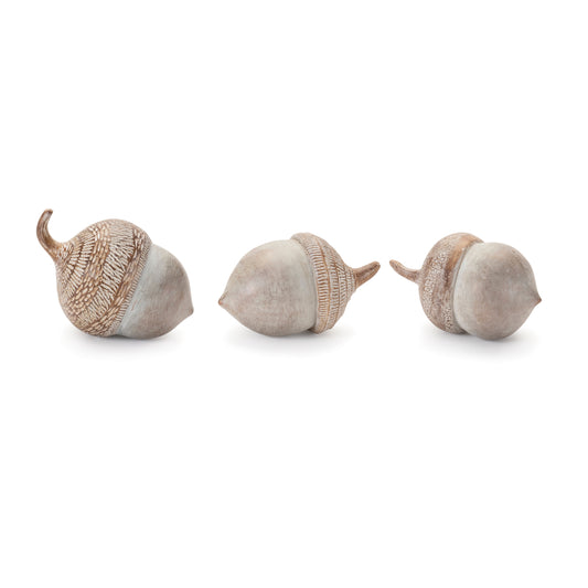 Acorn Decor